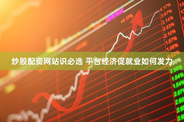 炒股配资网站识必选 平台经济促就业如何发力